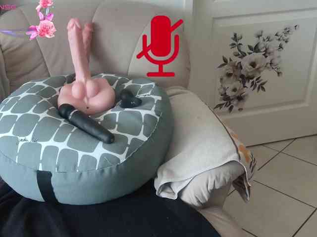 FRENCH-LISA webcam