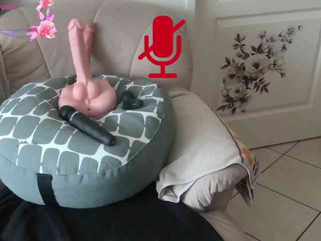 FRENCH-LISA webcam