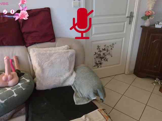 FRENCH-LISA webcam