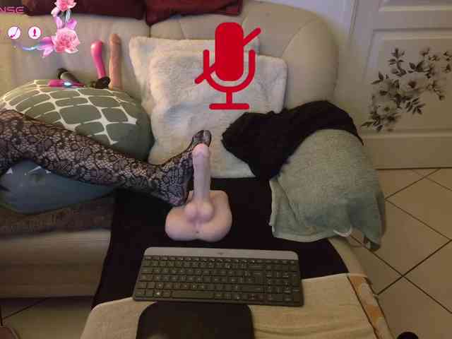 FRENCH-LISA webcam