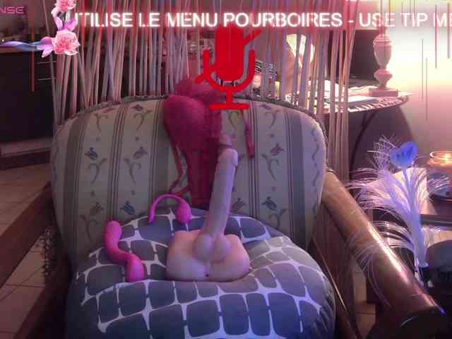 FRENCH-LISA webcam