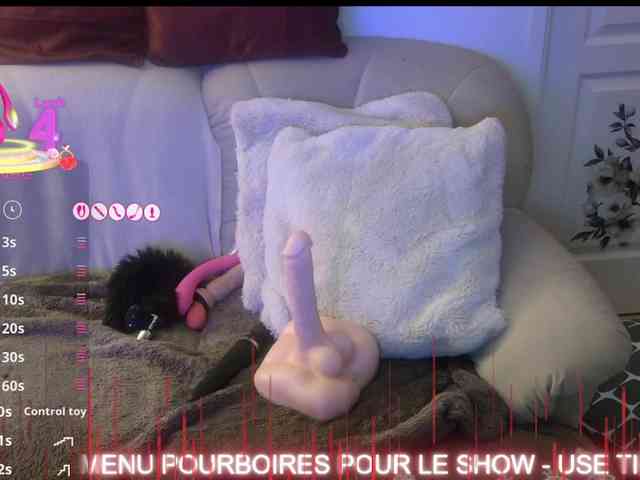 FRENCH-LISA webcam