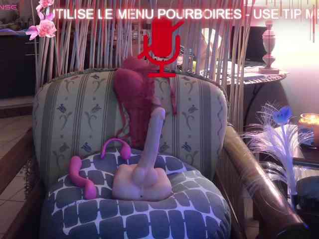 FRENCH-LISA webcam