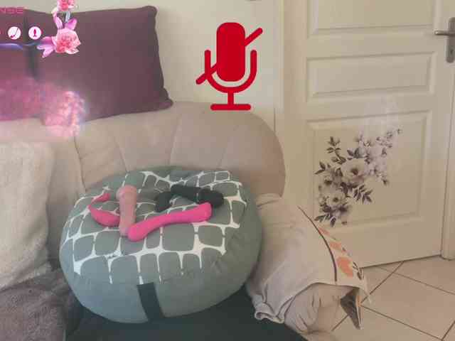 FRENCH-LISA webcam
