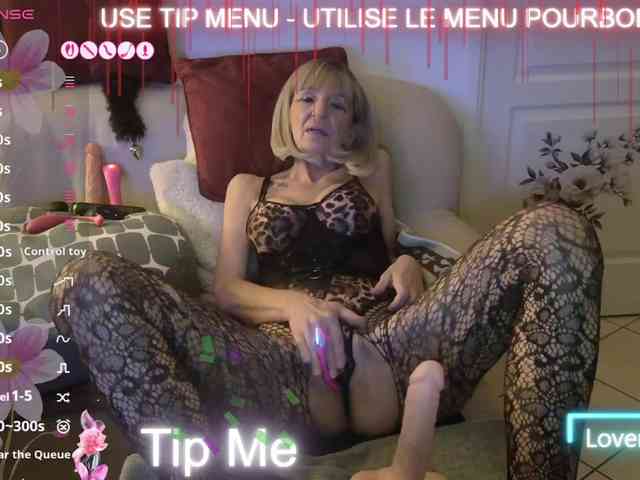 FRENCH-LISA webcam