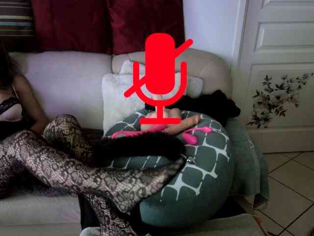 FRENCH-LISA webcam