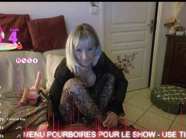 FRENCH-LISA webcam
