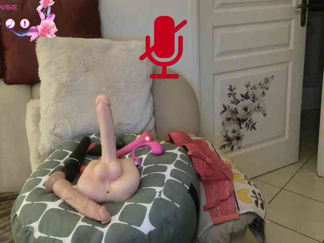 FRENCH-LISA webcam