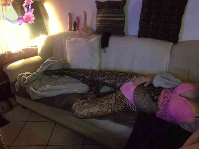 FRENCH-LISA webcam