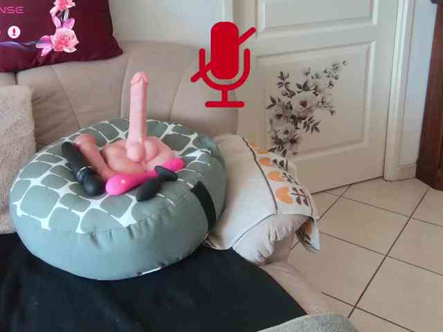 FRENCH-LISA webcam