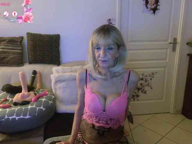 FRENCH-LISA webcam