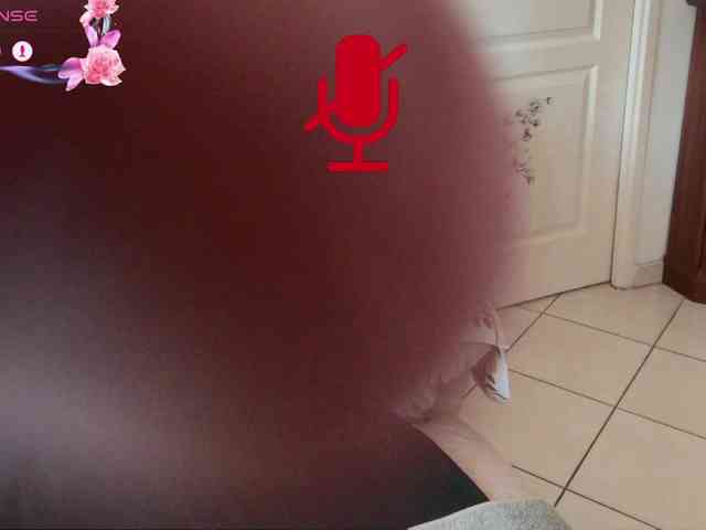 FRENCH-LISA webcam