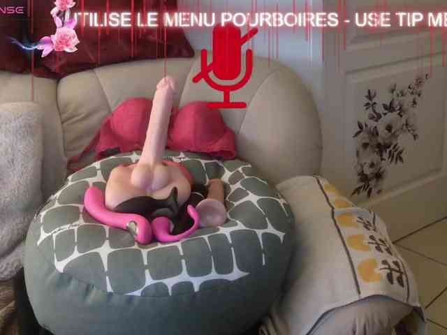 FRENCH-LISA webcam