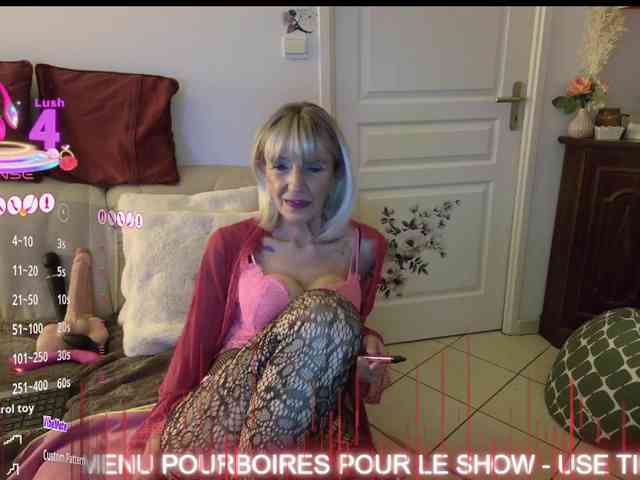 FRENCH-LISA webcam