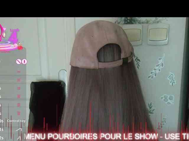 FRENCH-LISA webcam