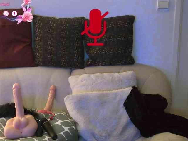 FRENCH-LISA webcam