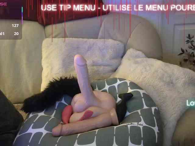 LISACAM2CAM LISACAM2CAM