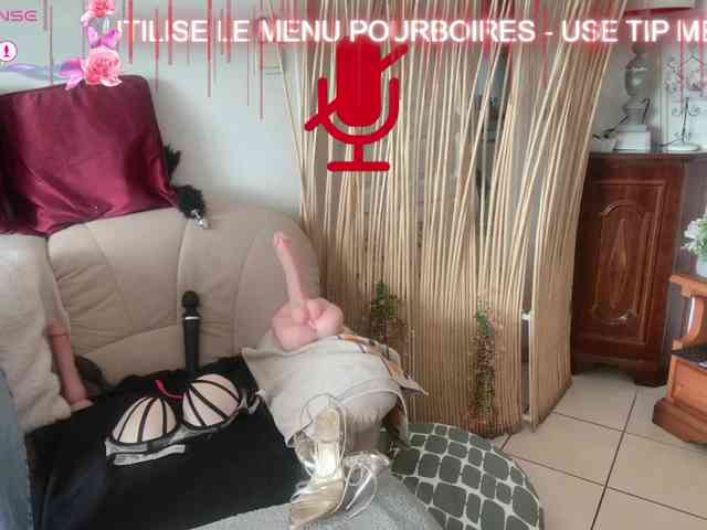 FRENCH-LISA webcam