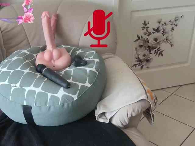 FRENCH-LISA webcam