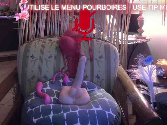 FRENCH-LISA webcam