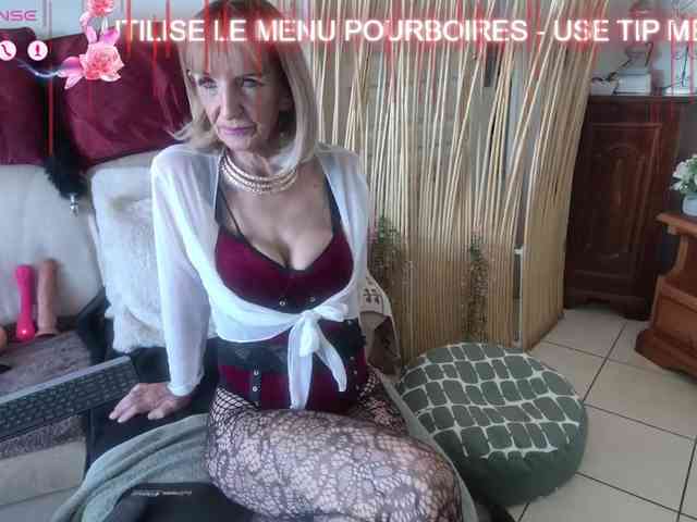 FRENCH-LISA webcam