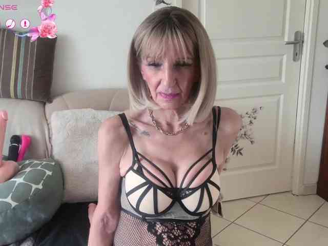 FRENCH-LISA webcam