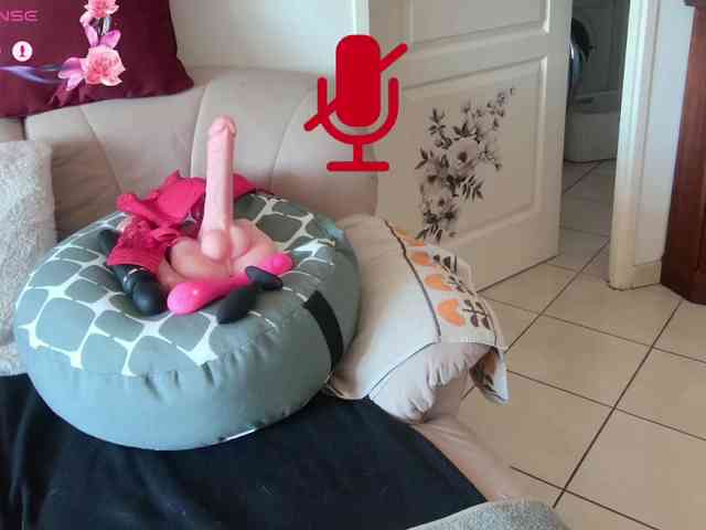 FRENCH-LISA webcam