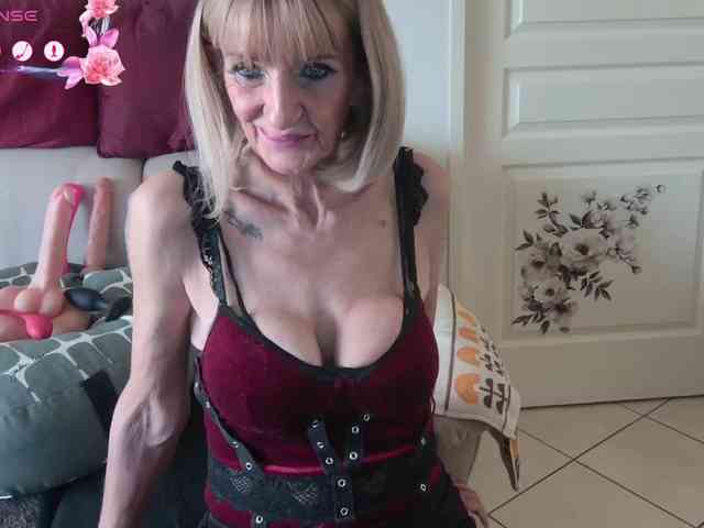 FRENCH-LISA webcam
