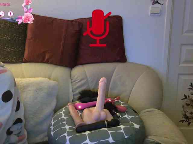 FRENCH-LISA webcam