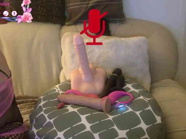 FRENCH-LISA webcam