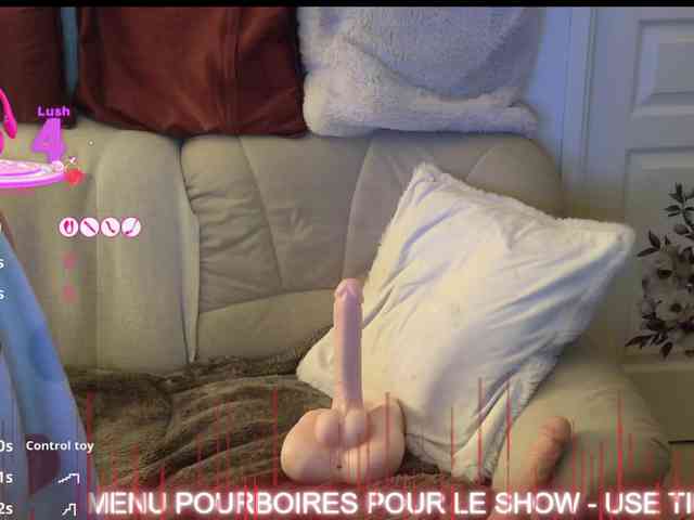 FRENCH-LISA webcam