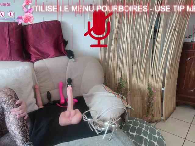 FRENCH-LISA webcam