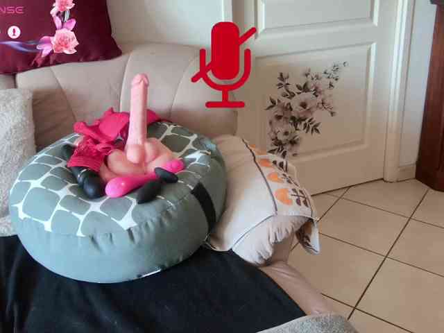 FRENCH-LISA webcam