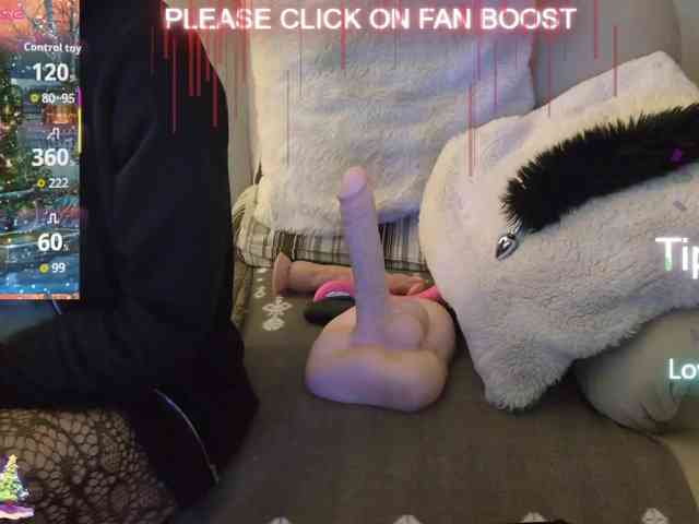 LISACAM2CAM LISACAM2CAM