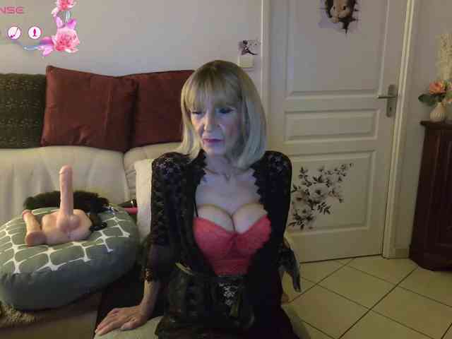 FRENCH-LISA webcam