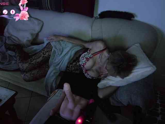 FRENCH-LISA webcam