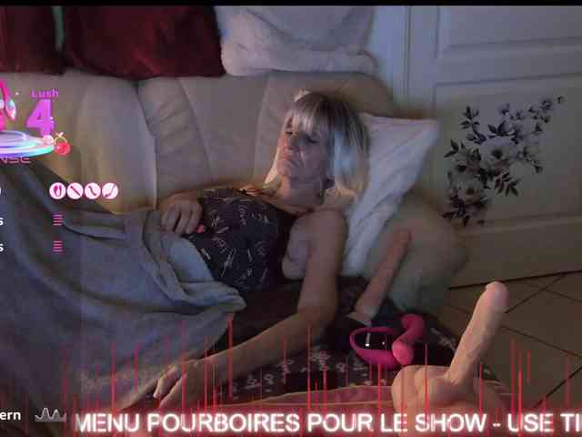 FRENCH-LISA webcam