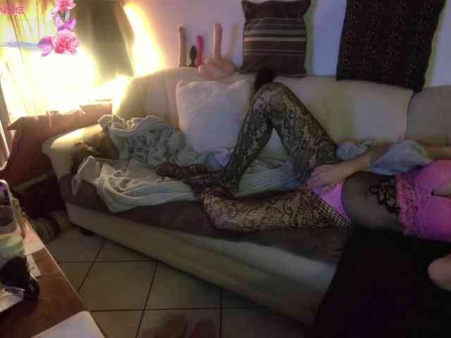 FRENCH-LISA webcam