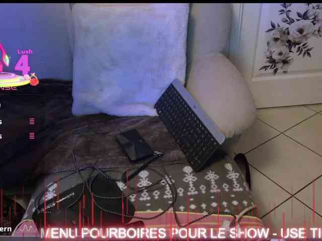 FRENCH-LISA webcam