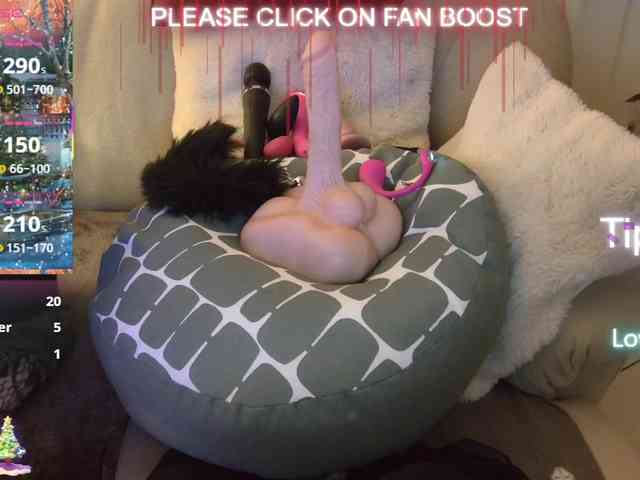 LISACAM2CAM LISACAM2CAM