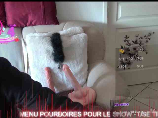 FRENCH-LISA webcam