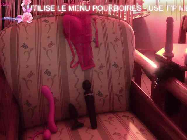 FRENCH-LISA webcam