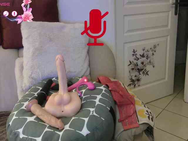 FRENCH-LISA webcam
