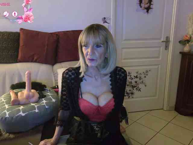 FRENCH-LISA webcam