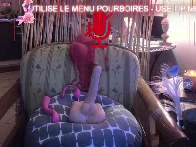 FRENCH-LISA webcam
