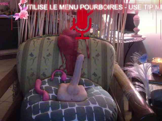 FRENCH-LISA webcam