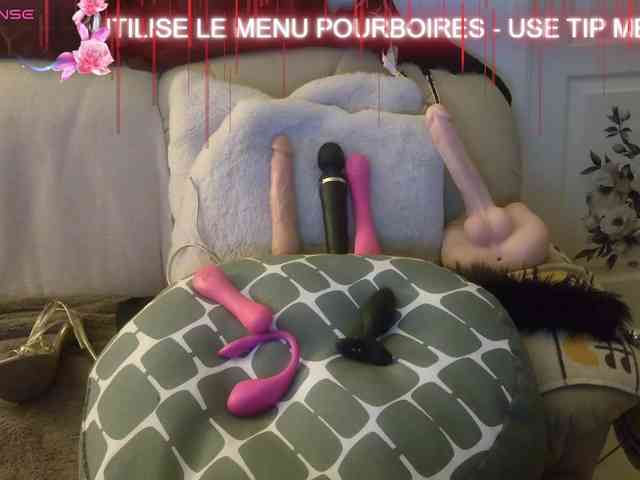 FRENCH-LISA webcam