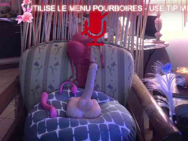 FRENCH-LISA webcam
