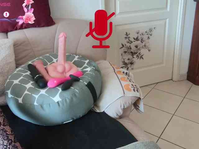 FRENCH-LISA webcam