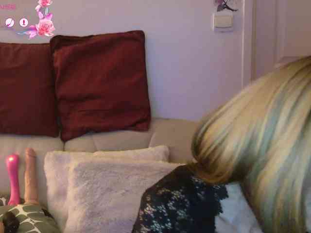 FRENCH-LISA webcam